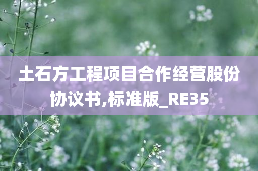 土石方工程项目合作经营股份协议书,标准版_RE35