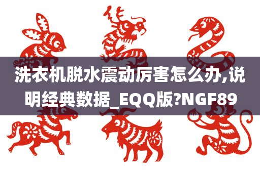 洗衣机脱水震动厉害怎么办,说明经典数据_EQQ版?NGF89