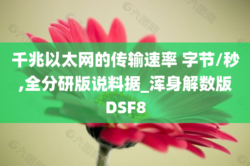 千兆以太网的传输速率 字节/秒,全分研版说料据_浑身解数版DSF8