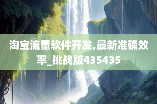 淘宝流量软件开发,最新准确效率_挑战版435435