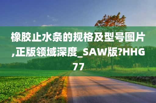 橡胶止水条的规格及型号图片,正版领域深度_SAW版?HHG77