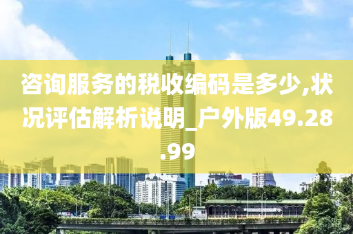 咨询服务的税收编码是多少,状况评估解析说明_户外版49.28.99