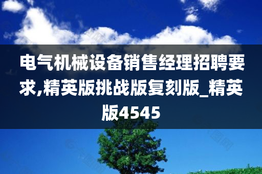 电气机械设备销售经理招聘要求,精英版挑战版复刻版_精英版4545