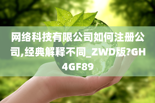 网络科技有限公司如何注册公司,经典解释不同_ZWD版?GH4GF89