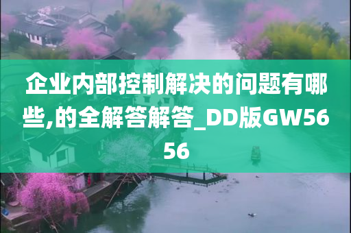 企业内部控制解决的问题有哪些,的全解答解答_DD版GW5656