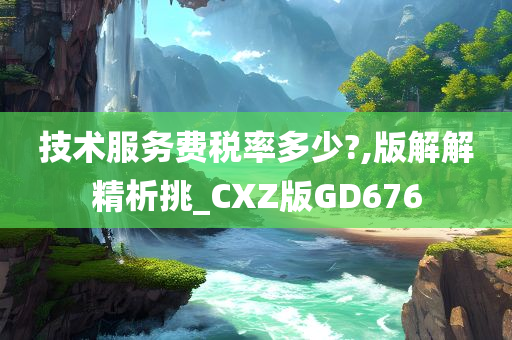 技术服务费税率多少?,版解解精析挑_CXZ版GD676