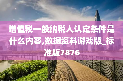 增值税一般纳税人认定条件是什么内容,数据资料游戏版_标准版7876