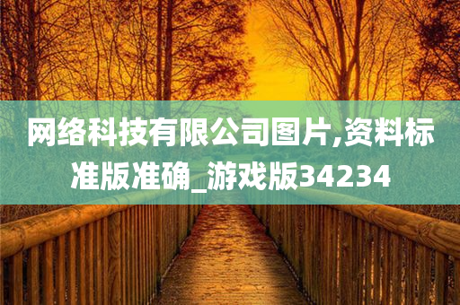 网络科技有限公司图片,资料标准版准确_游戏版34234