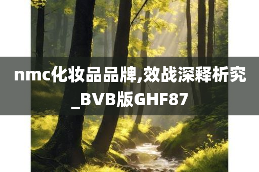 nmc化妆品品牌,效战深释析究_BVB版GHF87