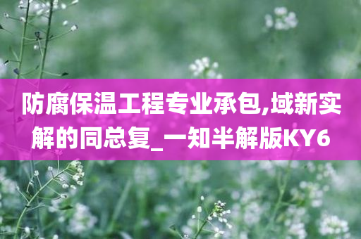 防腐保温工程专业承包,域新实解的同总复_一知半解版KY6