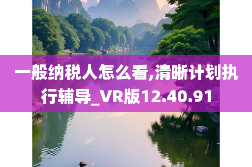 一般纳税人怎么看,清晰计划执行辅导_VR版12.40.91