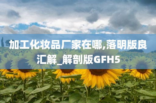 加工化妆品厂家在哪,落明版良汇解_解剖版GFH5