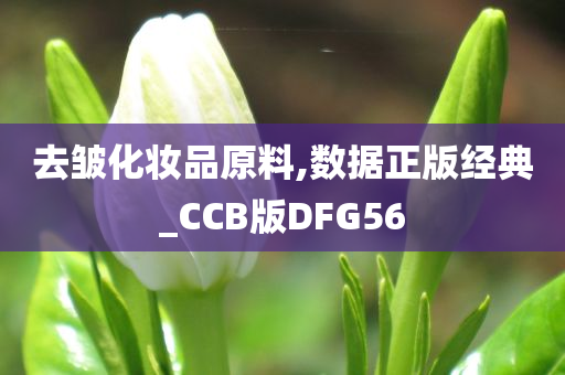 去皱化妆品原料,数据正版经典_CCB版DFG56