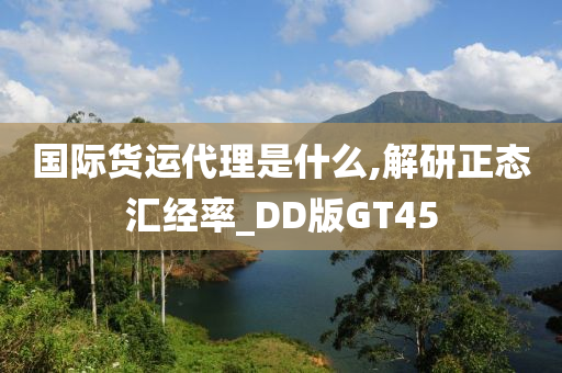 国际货运代理是什么,解研正态汇经率_DD版GT45