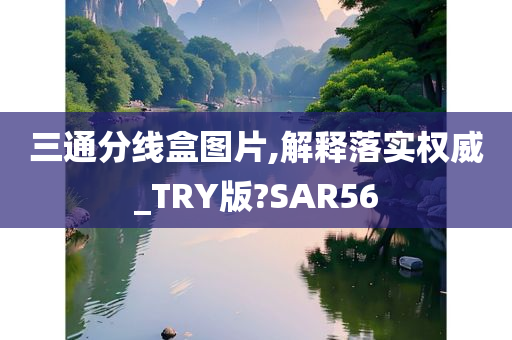 三通分线盒图片,解释落实权威_TRY版?SAR56