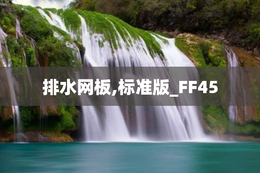 排水网板,标准版_FF45