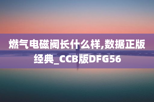 燃气电磁阀长什么样,数据正版经典_CCB版DFG56