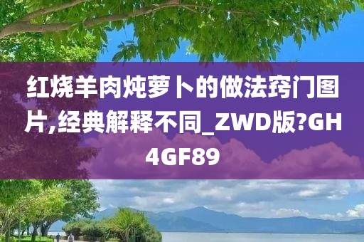 红烧羊肉炖萝卜的做法窍门图片,经典解释不同_ZWD版?GH4GF89