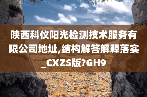 陕西科仪阳光检测技术服务有限公司地址,结构解答解释落实_CXZS版?GH9