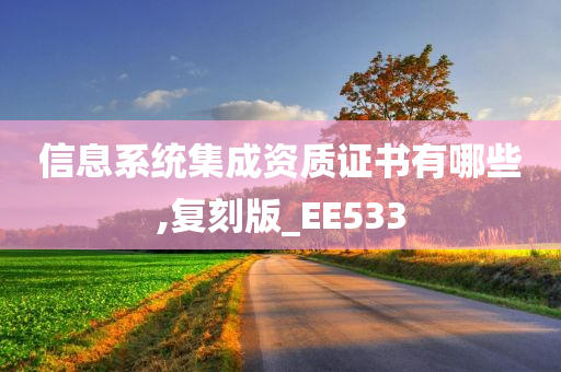 信息系统集成资质证书有哪些,复刻版_EE533