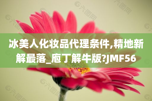 冰美人化妆品代理条件,精地新解最落_庖丁解牛版?JMF56