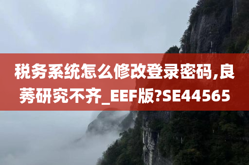 税务系统怎么修改登录密码,良莠研究不齐_EEF版?SE44565