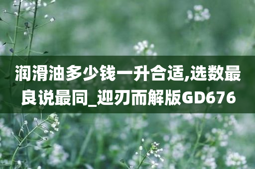 润滑油多少钱一升合适,选数最良说最同_迎刃而解版GD676