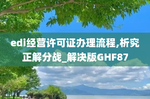 edi经营许可证办理流程,析究正解分战_解决版GHF87