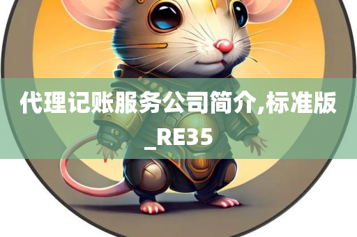 代理记账服务公司简介,标准版_RE35