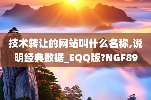 技术转让的网站叫什么名称,说明经典数据_EQQ版?NGF89