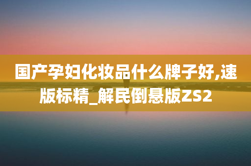 国产孕妇化妆品什么牌子好,速版标精_解民倒悬版ZS2