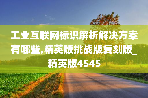 工业互联网标识解析解决方案有哪些,精英版挑战版复刻版_精英版4545