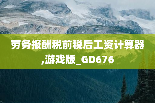 劳务报酬税前税后工资计算器,游戏版_GD676