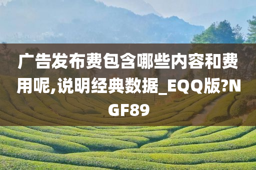 广告发布费包含哪些内容和费用呢,说明经典数据_EQQ版?NGF89