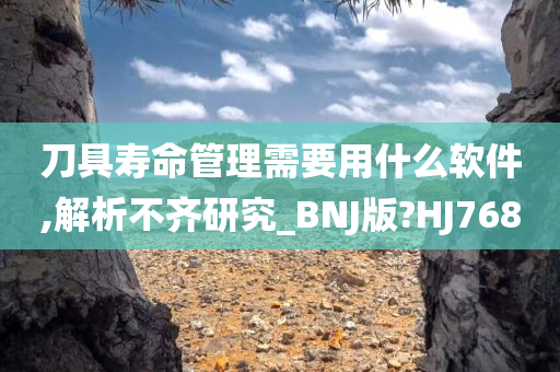 刀具寿命管理需要用什么软件,解析不齐研究_BNJ版?HJ768