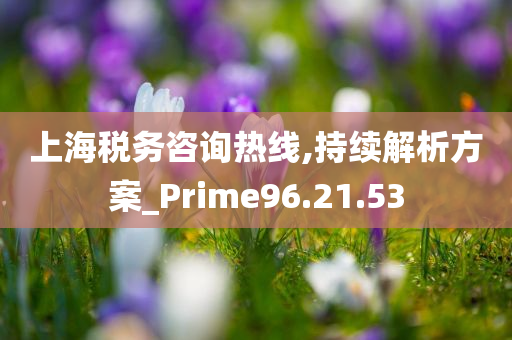 上海税务咨询热线,持续解析方案_Prime96.21.53