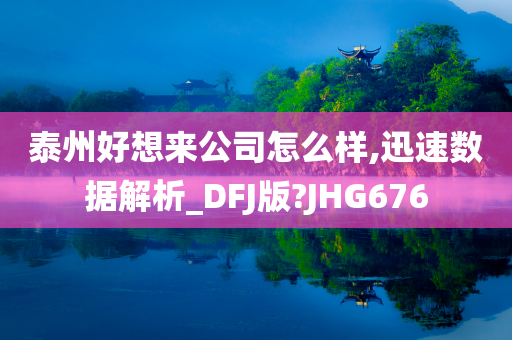 泰州好想来公司怎么样,迅速数据解析_DFJ版?JHG676