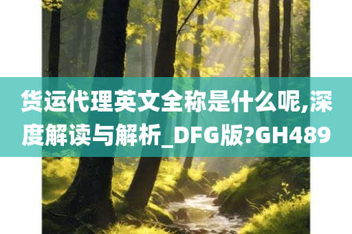 货运代理英文全称是什么呢,深度解读与解析_DFG版?GH489