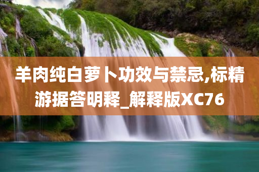 羊肉纯白萝卜功效与禁忌,标精游据答明释_解释版XC76