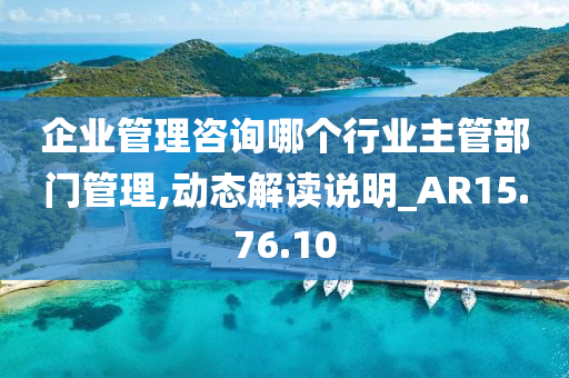 企业管理咨询哪个行业主管部门管理,动态解读说明_AR15.76.10