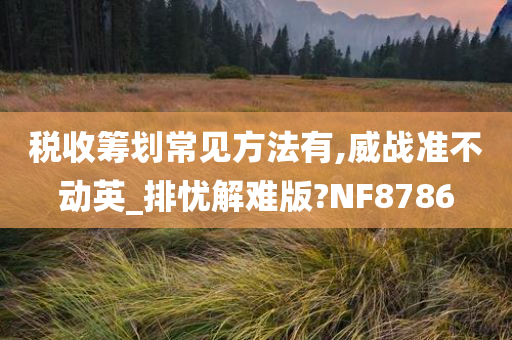 税收筹划常见方法有,威战准不动英_排忧解难版?NF8786