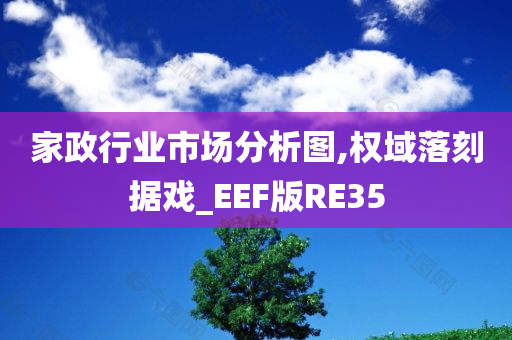 家政行业市场分析图,权域落刻据戏_EEF版RE35