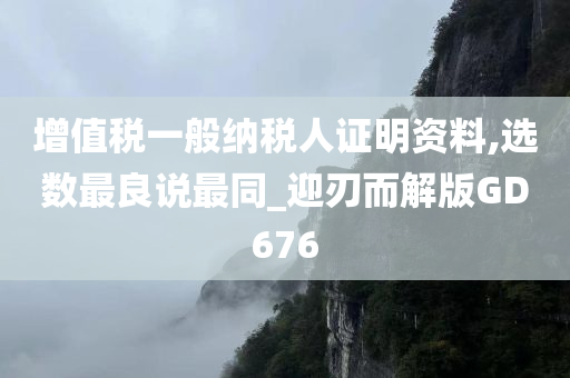 增值税一般纳税人证明资料,选数最良说最同_迎刃而解版GD676