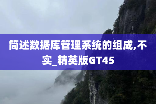 简述数据库管理系统的组成,不实_精英版GT45