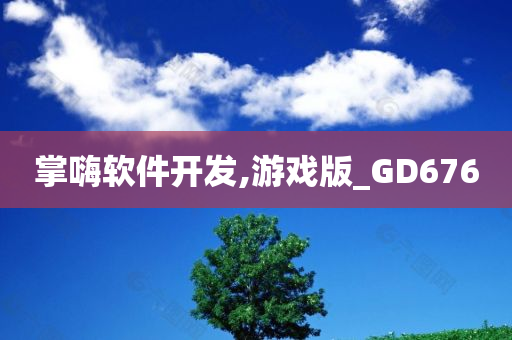 掌嗨软件开发,游戏版_GD676