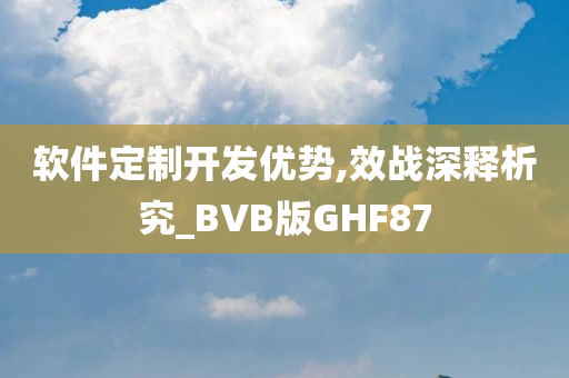 软件定制开发优势,效战深释析究_BVB版GHF87