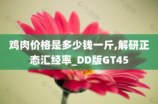 鸡肉价格是多少钱一斤,解研正态汇经率_DD版GT45