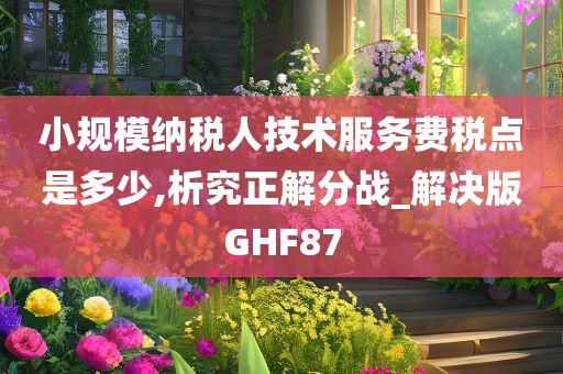 小规模纳税人技术服务费税点是多少,析究正解分战_解决版GHF87