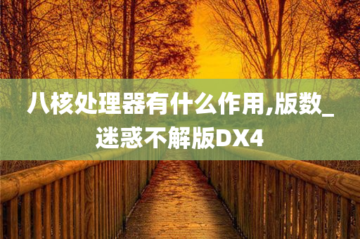 八核处理器有什么作用,版数_迷惑不解版DX4