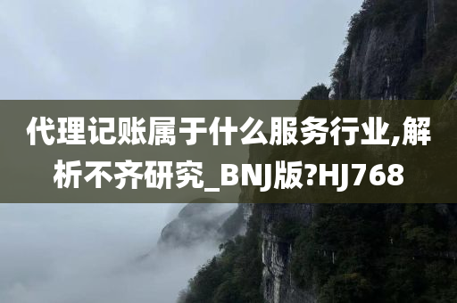 代理记账属于什么服务行业,解析不齐研究_BNJ版?HJ768